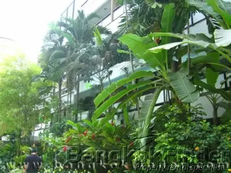 Nanglingchee Road Sathorn, Sathorn, Sathon, Thailand, 4 Bedroom Bedrooms, 0 ,4 BathroomBathrooms,Penthouse,For Rent,Praphai House,Nanglingchee Road Sathorn,41
