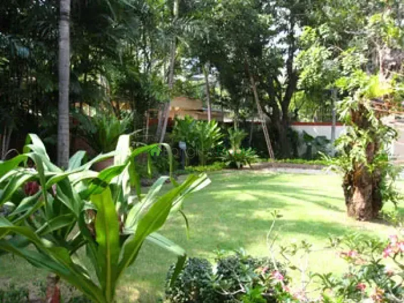 Sukhumvit-Phrom Phong, Phrom Phong, Phrom Phong, Thailand, 4 Bedroom Bedrooms, 0 ,6 BathroomBathrooms,Villa,For Rent,House#18,Sukhumvit-Phrom Phong,321