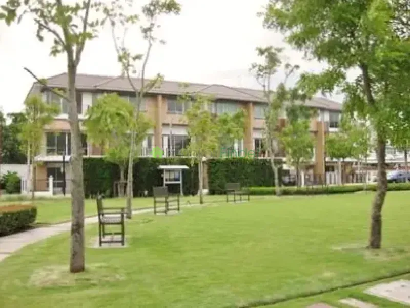Bangna-Srinakarin, Bangna-Srinakarin, Bangna-Srinakarin, Thailand, 4 Bedroom Bedrooms, 0 ,4 BathroomBathrooms,Town House,For Rent,Bangna-Srinakarin,2010