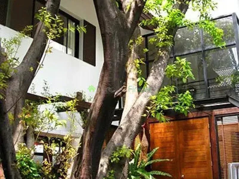 Sukhumvit-Thonglor, Thonglor, Thonglor, Thailand, 3 Bedroom Bedrooms, 0 ,4 BathroomBathrooms,Villa,For Rent,Compound Suk 53,Sukhumvit-Thonglor,2112