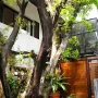 Sukhumvit-Thonglor, Thonglor, Thonglor, Thailand, 3 Bedroom Bedrooms, 0 ,4 BathroomBathrooms,Villa,For Rent,Compound Suk 53,Sukhumvit-Thonglor,2112