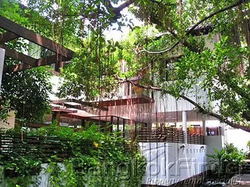 Sukhumvit-Thonglor, Thonglor, Thonglor, Thailand, 3 Bedroom Bedrooms, 0 ,4 BathroomBathrooms,Villa,For Rent,Compound Suk 53,Sukhumvit-Thonglor,2112