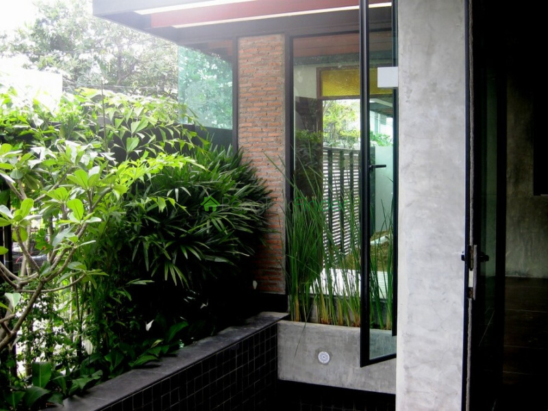 Thonglor, Thonglor, Bangkok, Thailand, 3 Bedrooms Bedrooms, ,3 BathroomsBathrooms,House,For Rent,Thonglor,3808