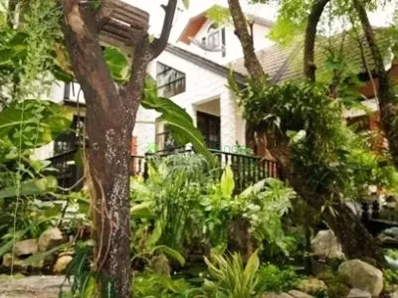 Bangna-Srinakarin, Bangna-Srinakarin, Thailand, 5 Bedroom Bedrooms, 0 ,5 BathroomBathrooms,House,For Rent,4398