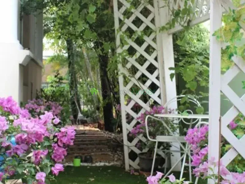 Bangna-Srinakarin, Bangna-Srinakarin, Thailand, 3 Bedroom Bedrooms, 0 ,3 BathroomBathrooms,House,For Rent,4414