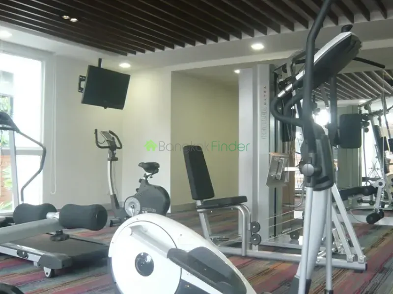 Ploenchit, Silom, Thailand, 2 Bedroom Bedrooms, 0 ,2 BathroomBathrooms,Condo,For Rent,The Treasure,4568
