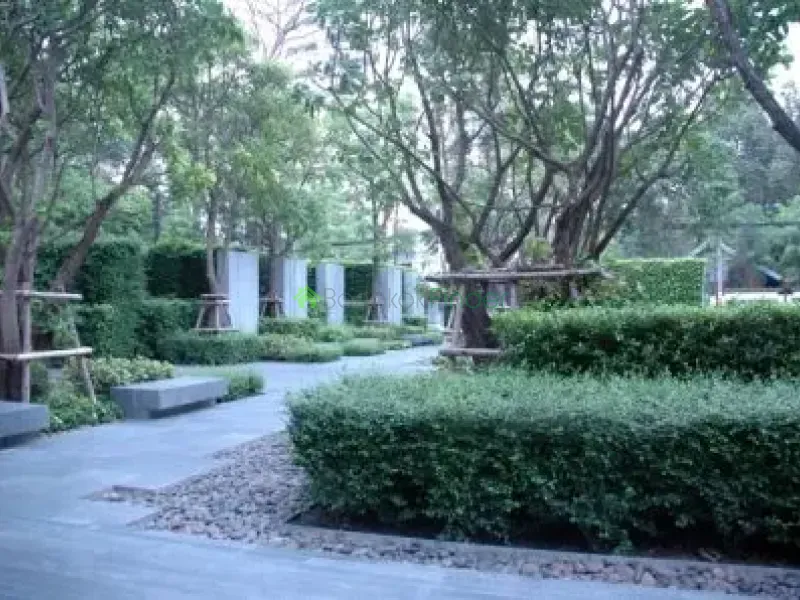 Phrom Phong, Phrom Phong, Thailand, 1 Bedroom Bedrooms, 0 ,1 BathroomBathrooms,Condo,For Rent,39 By Sansiri,4601