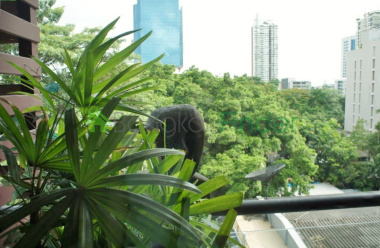 Ekamai, Bangkok, Thailand, 3 Bedrooms Bedrooms, ,4 BathroomsBathrooms,Condo,Sold,Baan Ananda,5238