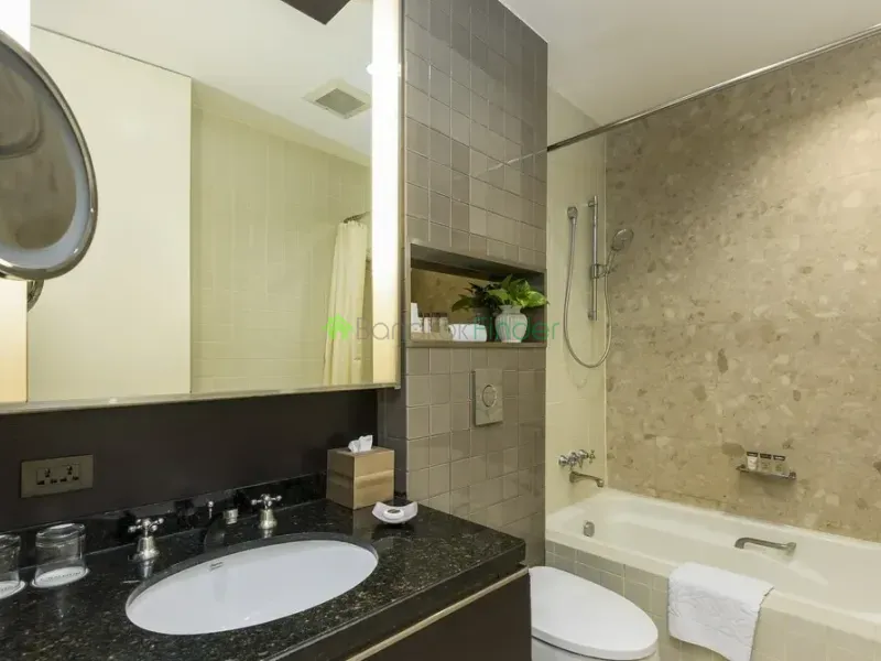 Phromphong, Phrom Phong, Thailand, 1 Bedroom Bedrooms, 0 ,1 BathroomBathrooms,Apartment,For Rent,Emporium Suites,6651