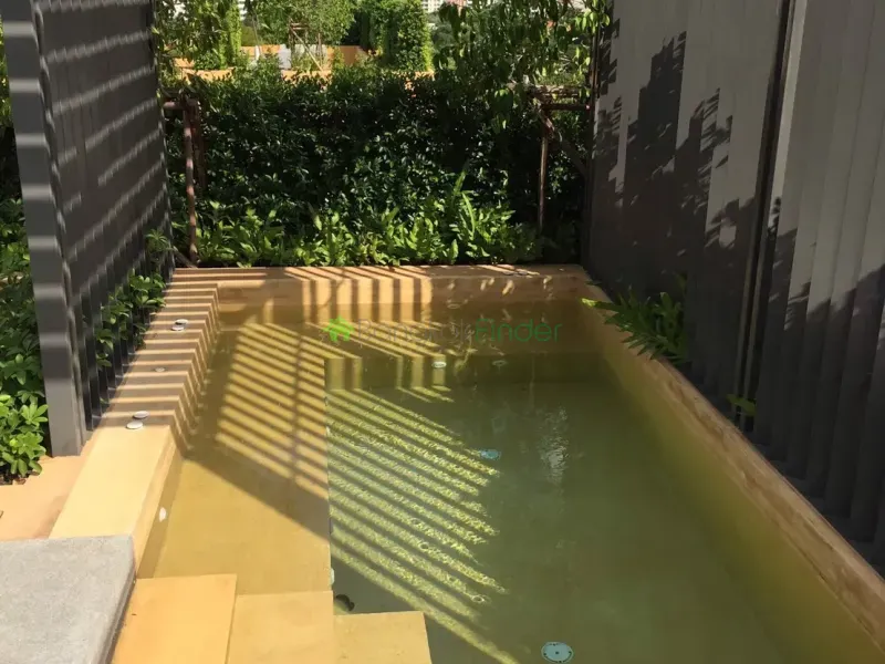 Promphong, Phrom Phong, Thailand, 1 Bedroom Bedrooms, 0 ,1 BathroomBathrooms,Condo,For Rent,Maestro 39,6667