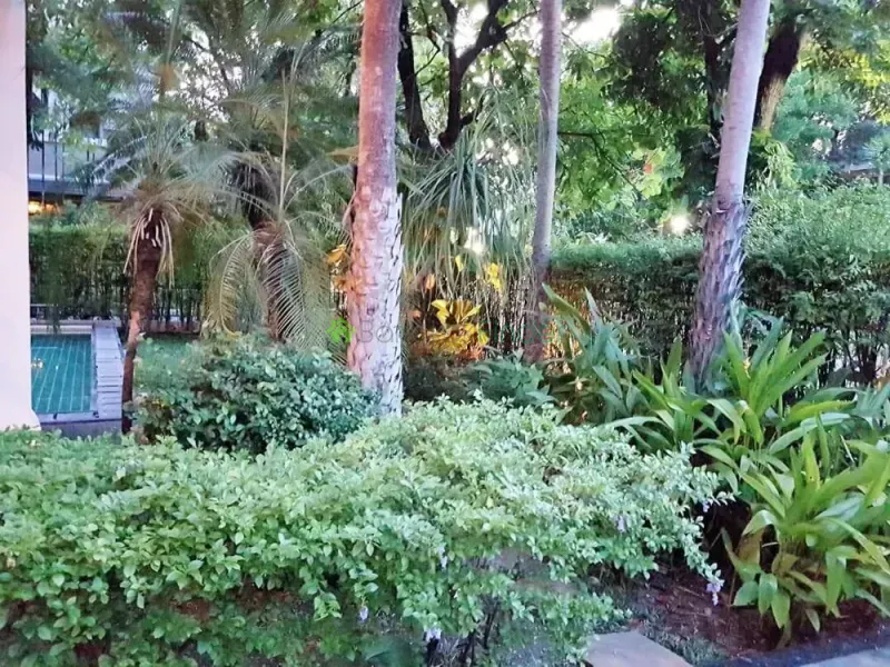 Phrakanong, Phra Khanong, Thailand, 4 Bedroom Bedrooms, 0 ,6 BathroomBathrooms,House,For Rent,6690