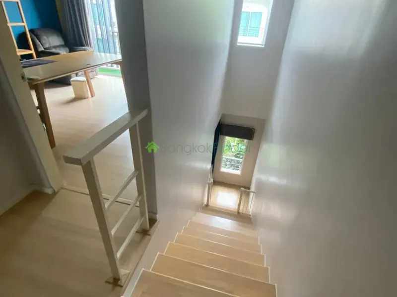 Sukhumvit 77, On Nut, Thailand, 3 Bedroom Bedrooms, 0 ,3 BathroomBathrooms,Town House,For Rent,6971