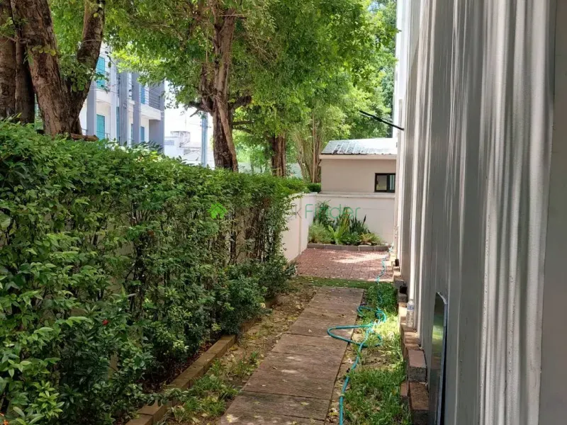 Sukhumvit 77, On Nut, Thailand, 3 Bedroom Bedrooms, 0 ,3 BathroomBathrooms,Town House,For Rent,6971