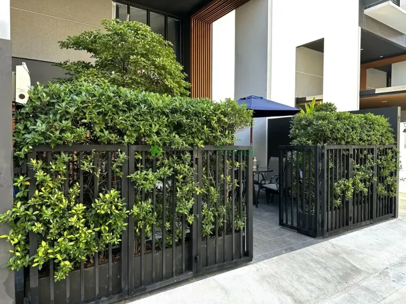 Pattanakarn, Pattanakarn, Pattanakarn, Thailand, 3 Bedroom Bedrooms, 0 ,4 BathroomBathrooms,Town House,For Rent,Pattanakarn,7626