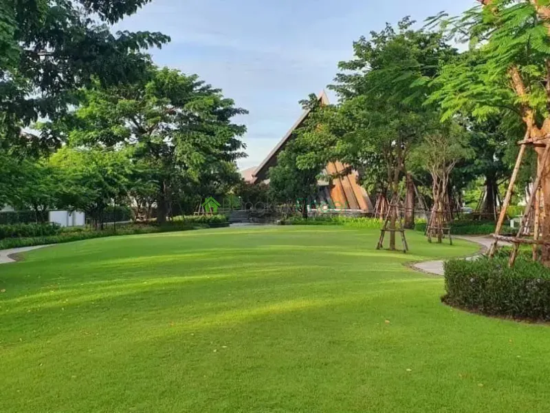 Pattanakarn, Pattanakarn, Thailand, 4 Bedroom Bedrooms, 0 ,5 BathroomBathrooms,House,For Rent,7710