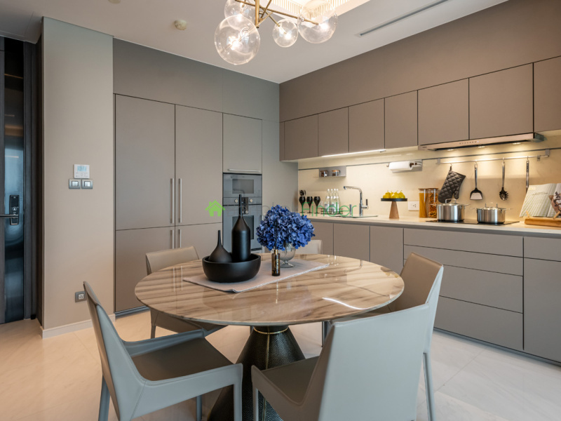 Ploenchit-Chidlom, Bangkok, Thailand, 1 Bedroom Bedrooms, 0 ,1 BathroomBathrooms,Condo,For Rent,Sindhorn Tonson,7735