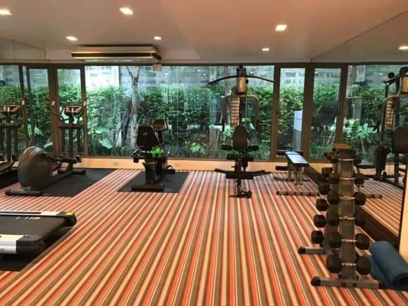 Sukhumvit 49, Bangkok, Thailand, 1 Bedroom Bedrooms, 0 ,1 BathroomBathrooms,Condo,For Rent,Downtown 49,7786