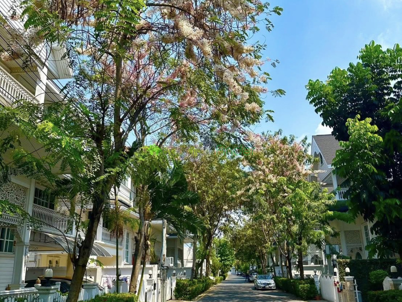 Sukhumvit 107, Bangkok, Thailand, 4 Bedrooms Bedrooms, 0 ,4 BathroomsBathrooms,House,For Sale,7818