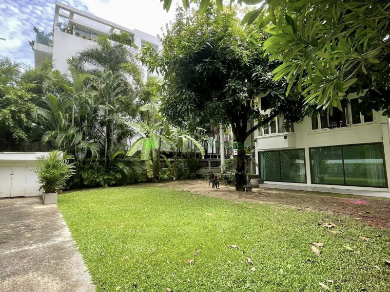 Ploenchit, Bangkok, Thailand, 2 Bedrooms Bedrooms, 0 ,4 BathroomsBathrooms,House,For Rent,7819
