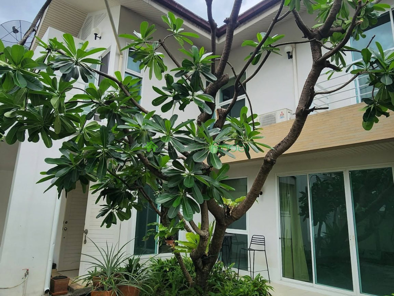 Phormphong, Bangkok, Thailand, 2 Bedroom Bedrooms, 0 ,4 BathroomBathrooms,House,For Rent,7892