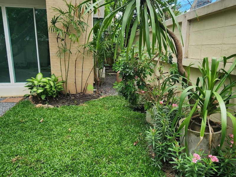 Phormphong, Bangkok, Thailand, 2 Bedroom Bedrooms, 0 ,4 BathroomBathrooms,House,For Rent,7892