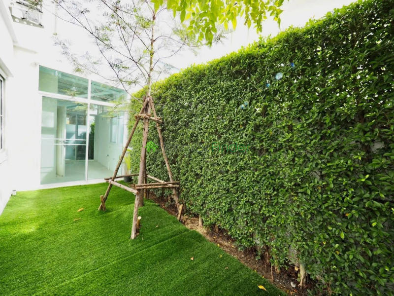 Bangna, Bangkok, Thailand, 4 Bedroom Bedrooms, 0 ,4 BathroomBathrooms,House,For Rent,7910